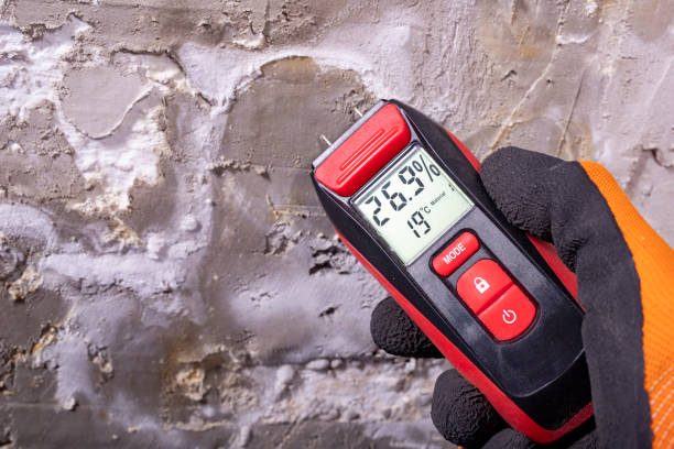 Best Same-Day Mold Removal  in Spring Mount, PA