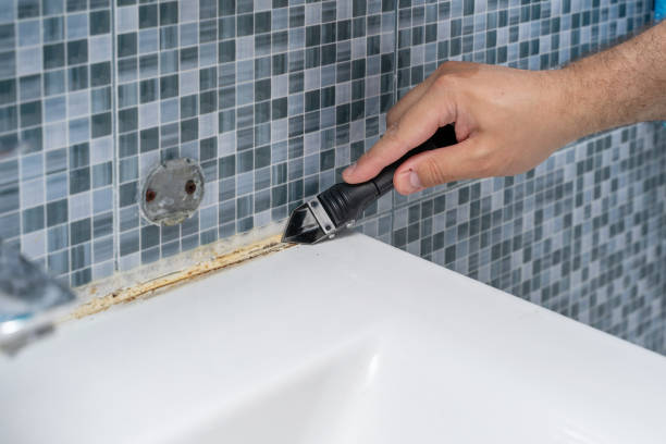 Best Office Mold Removal Services  in Spring Mount, PA