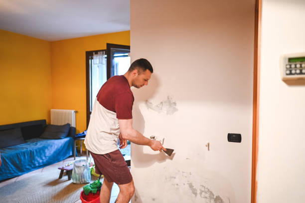 Best Emergency Mold Removal  in Spring Mount, PA