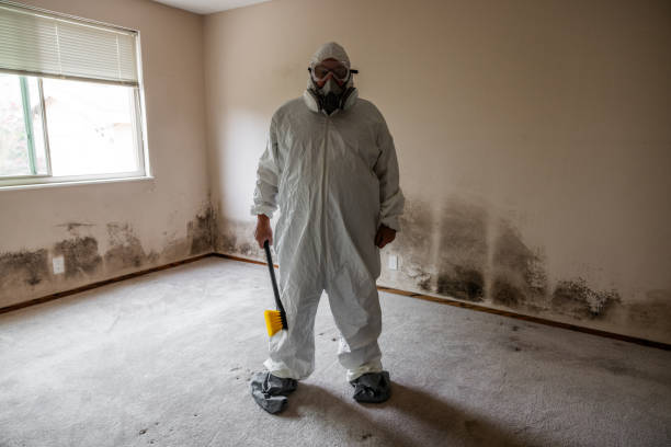 Best Crawl Space Mold Removal  in Spring Mount, PA